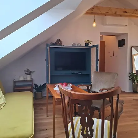 Stylish In The Historic Center Under The Castle Apartment