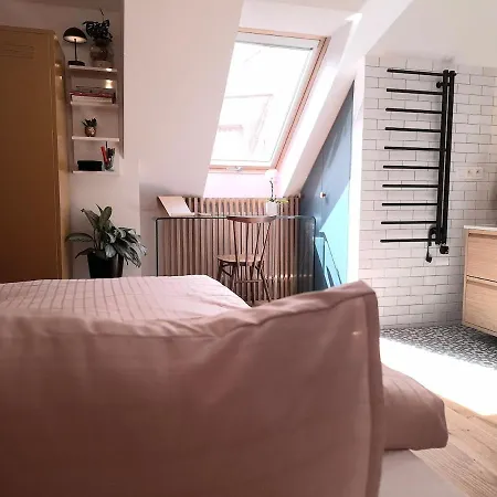 Apartment Stylish In The Historic Center Under The Castle Pressburg